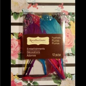 Recollections Embellishments Feathers 12 pcs Pack